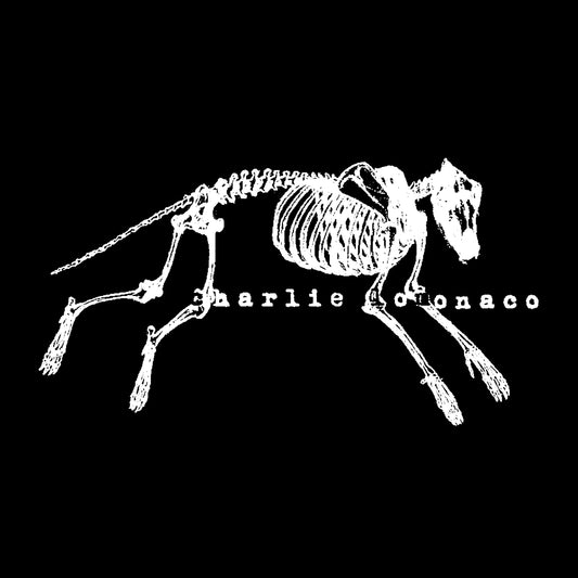 skeleton shirt